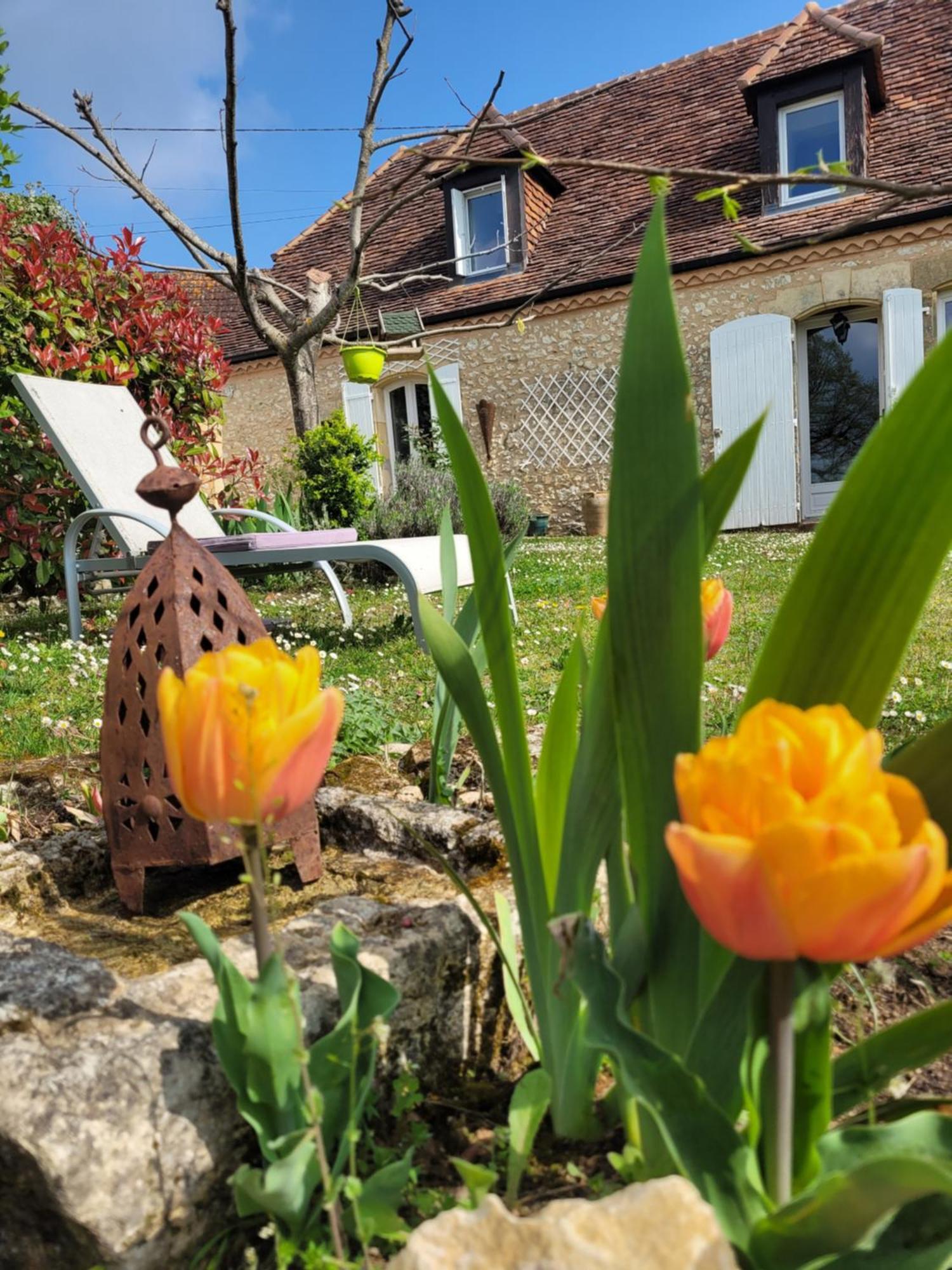 Le Clos Des Etoiles B&B Le Bugue Bagian luar foto